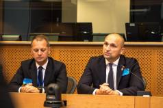 Mini Sastanak Europarlamentarci 29